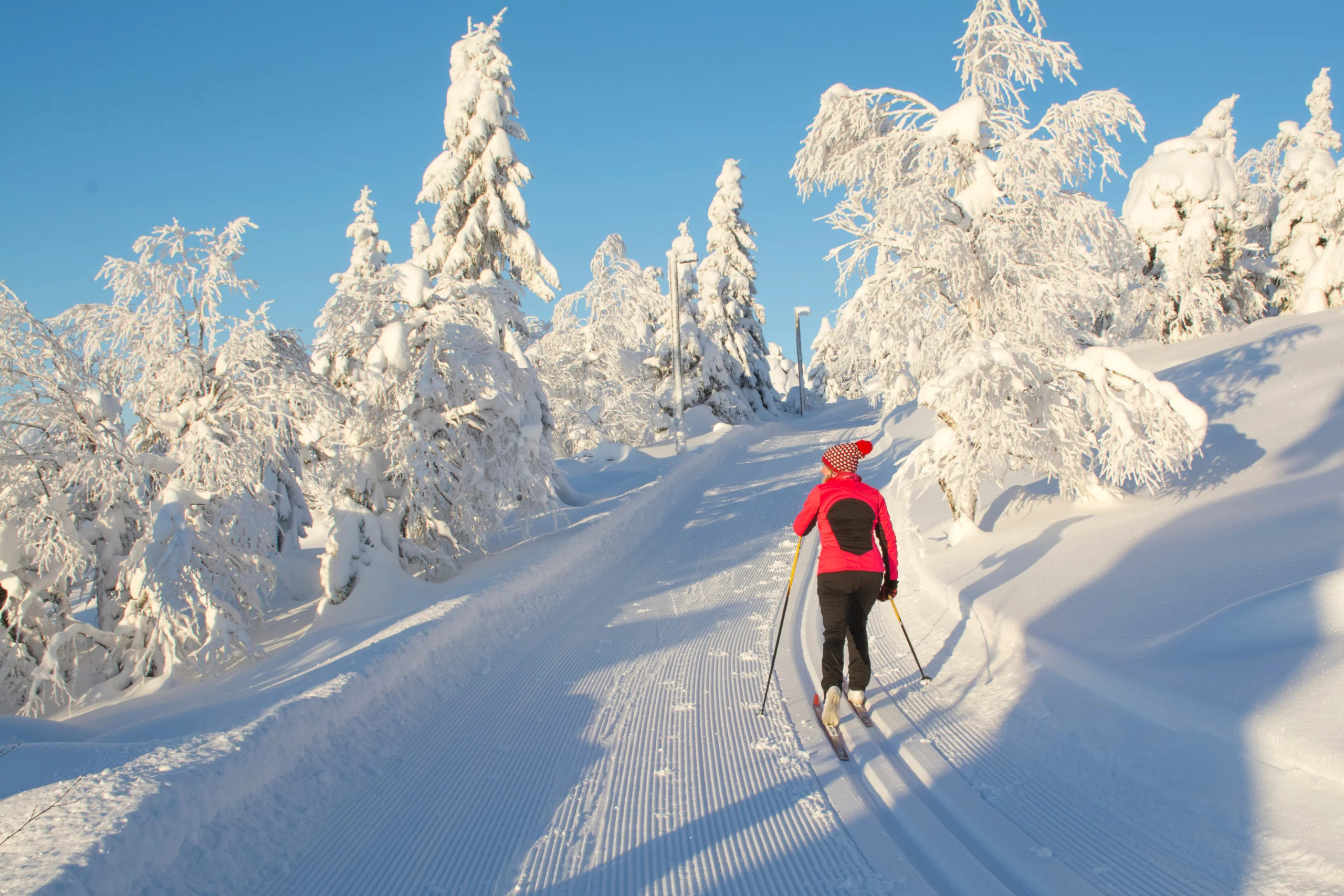 langrend spor klassisk flot natur