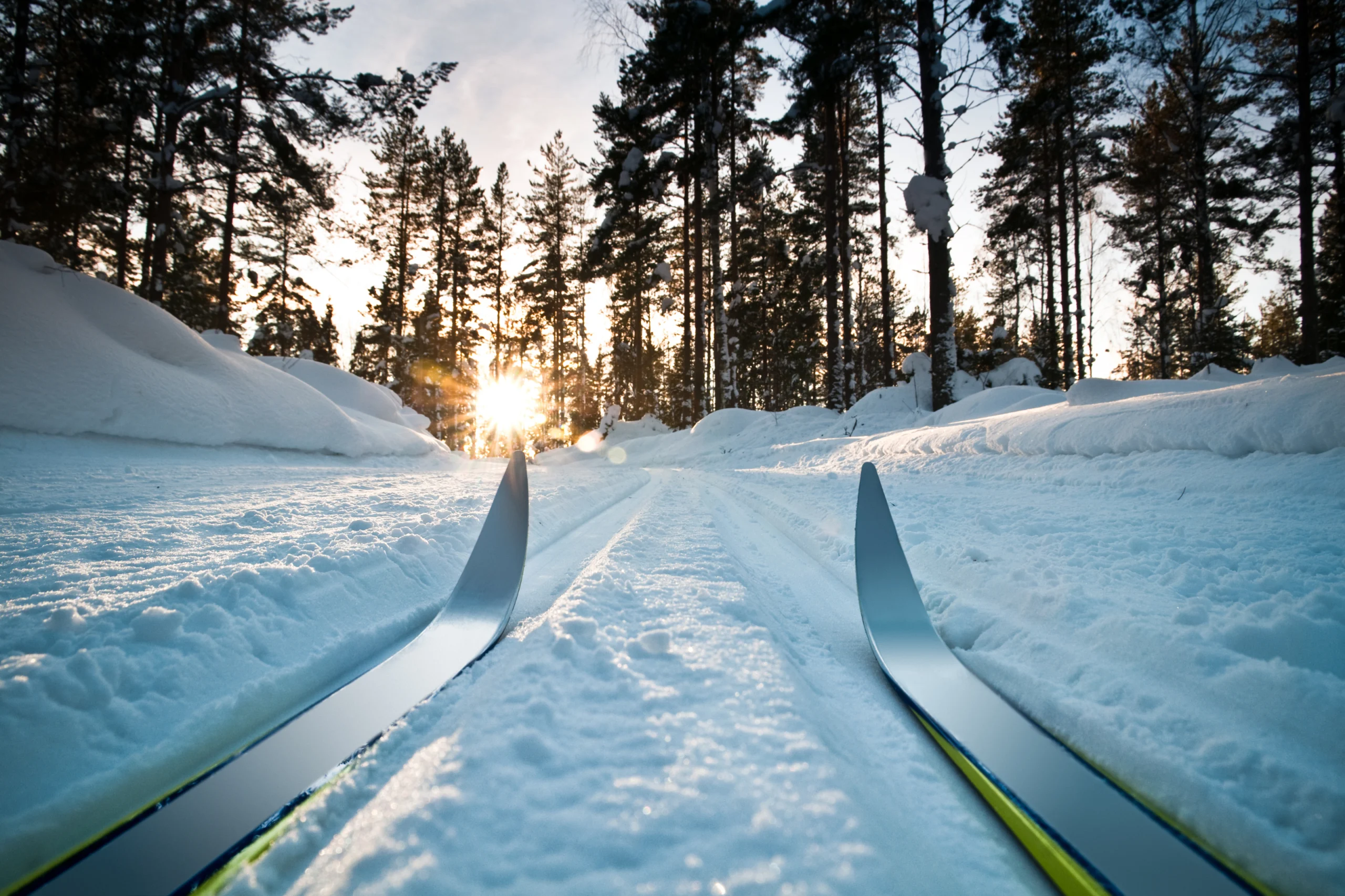 langrend sport ski spidser